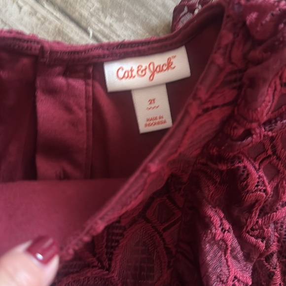 Toddler Holiday Dress - Picture 4 of 5